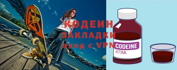 индика Гусь-Хрустальный