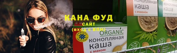 индика Гусь-Хрустальный