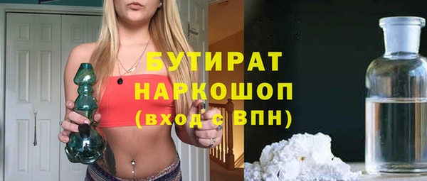 индика Гусь-Хрустальный