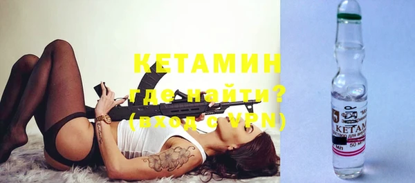 индика Гусь-Хрустальный