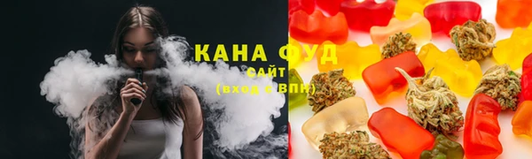 индика Гусь-Хрустальный