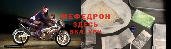 индика Гусь-Хрустальный