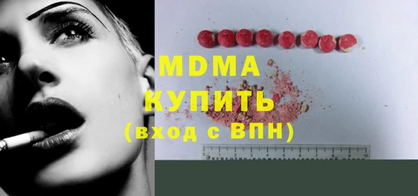 индика Гусь-Хрустальный