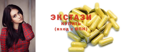 индика Гусь-Хрустальный