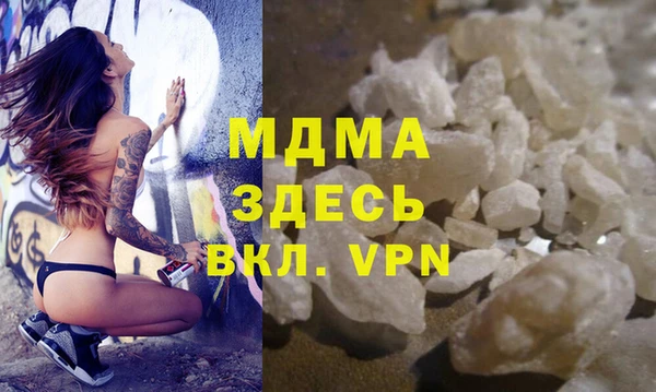 индика Гусь-Хрустальный