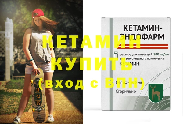 индика Гусь-Хрустальный