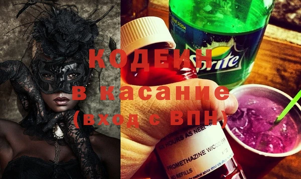 индика Гусь-Хрустальный