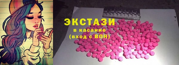 индика Гусь-Хрустальный