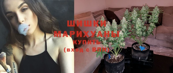 мдпв Гусиноозёрск