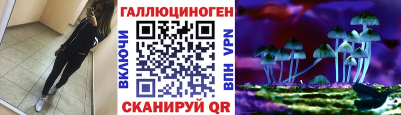 Галлюциногенные грибы Magic Shrooms  Купить где  Туран 